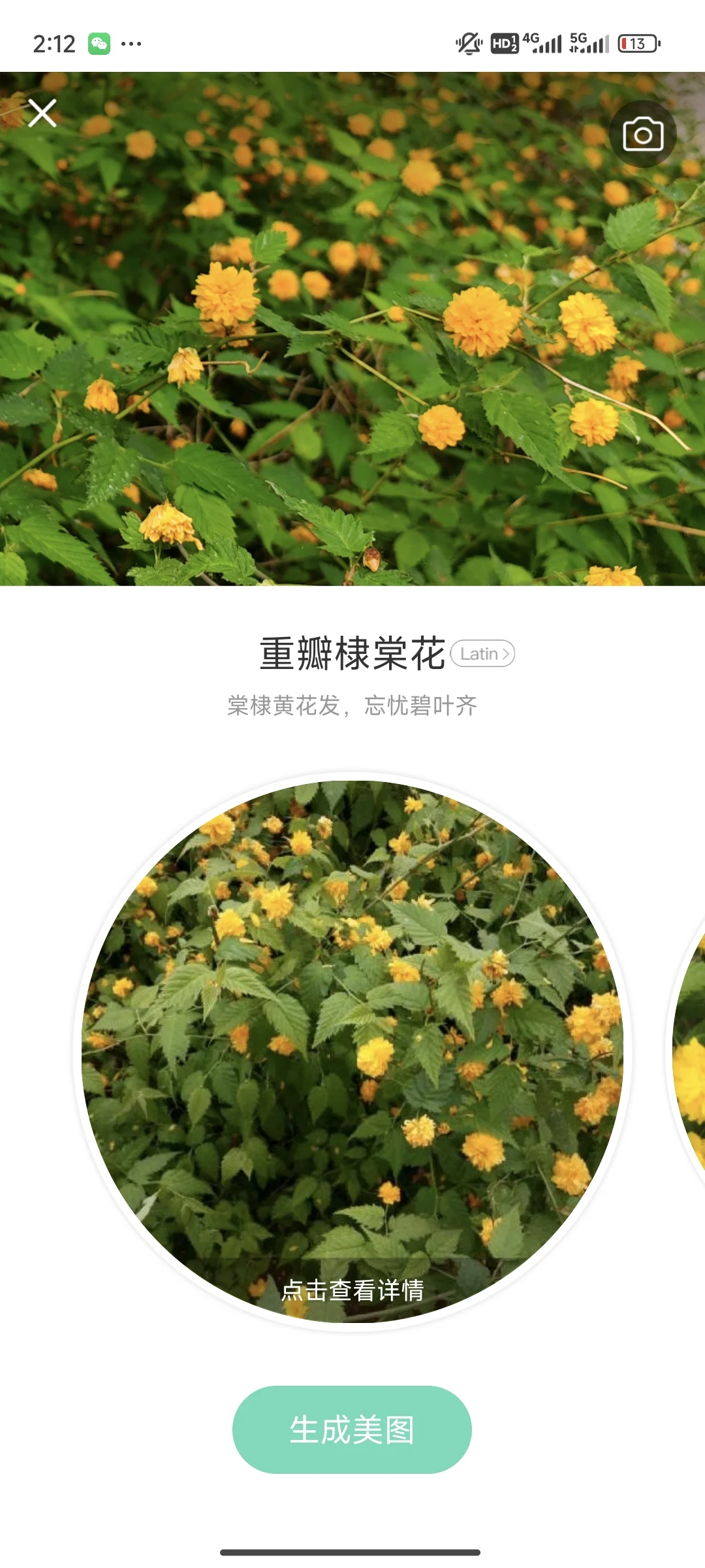 拍花人的福音丨植物分辨app