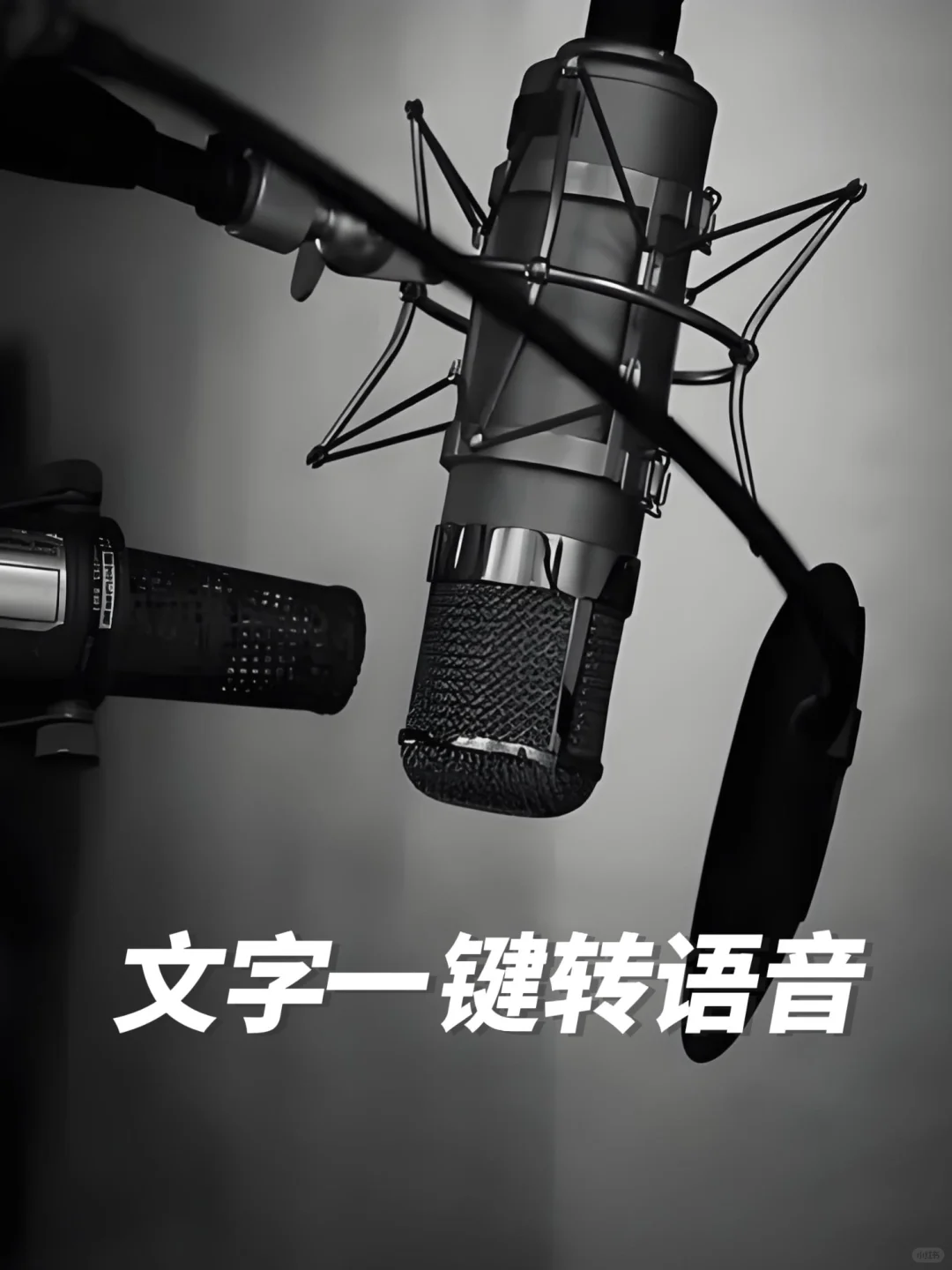 要是早点发现这个配音软件就好了