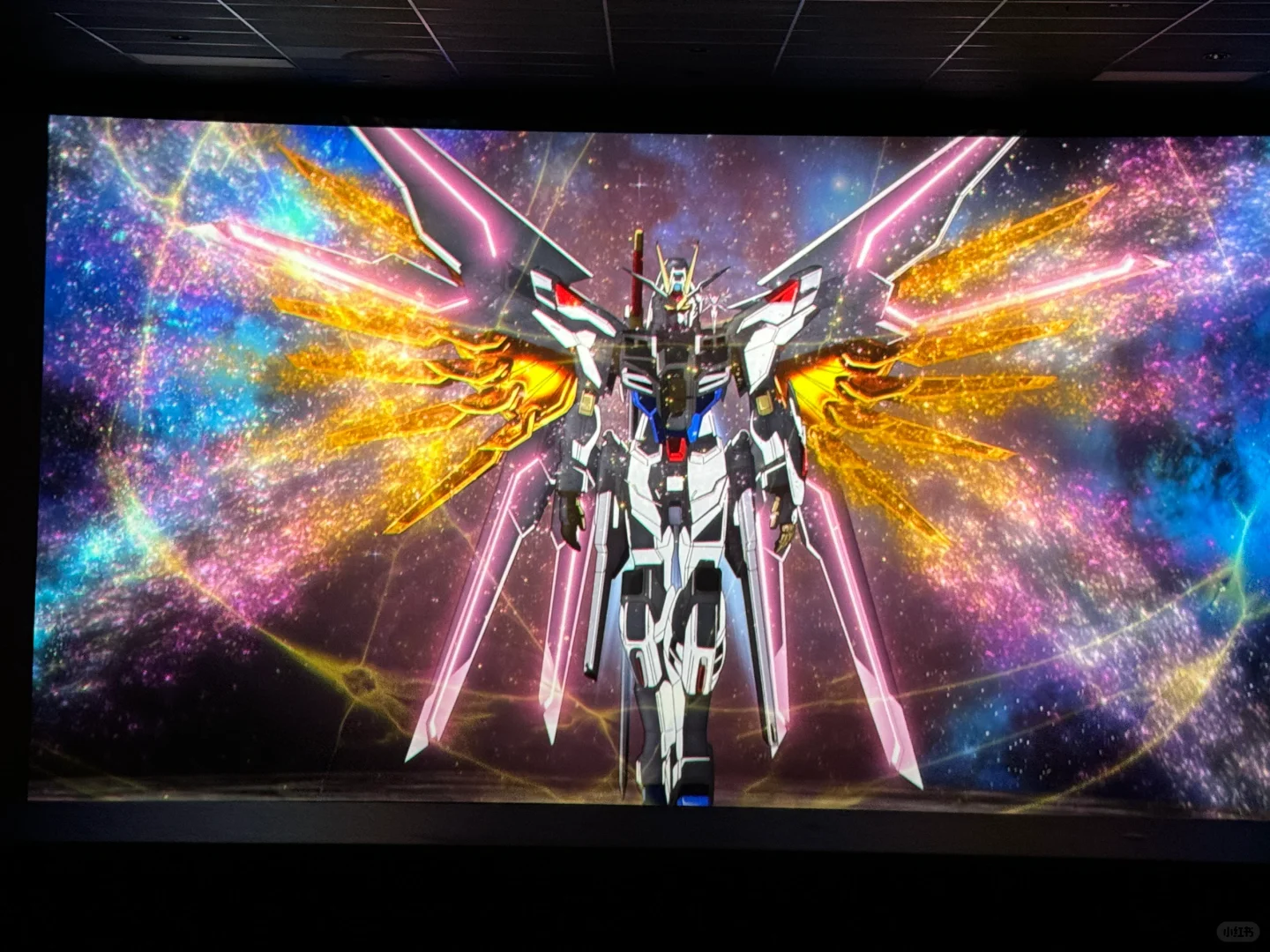 北美seed freedom电影