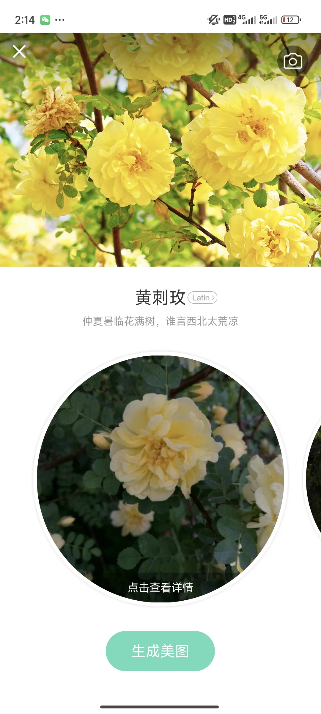 拍花人的福音丨植物分辨app