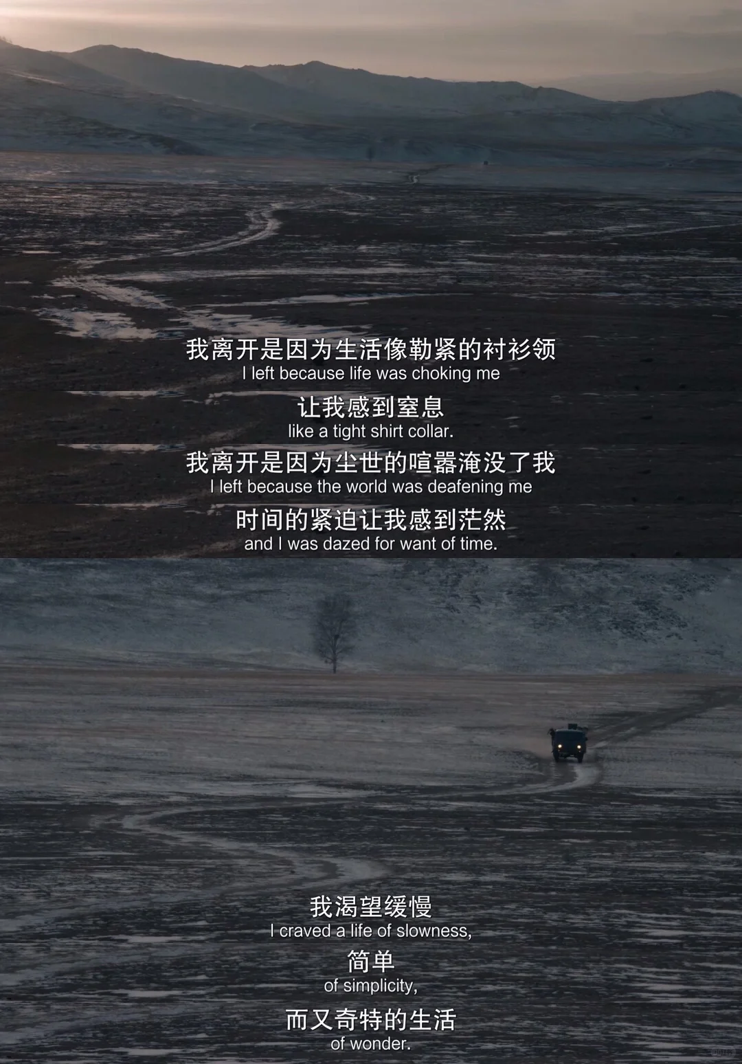 🎬低谷期必看的高能量电影‼️|“你是自由的”