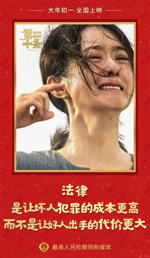 优质电影推荐——《第二十条》