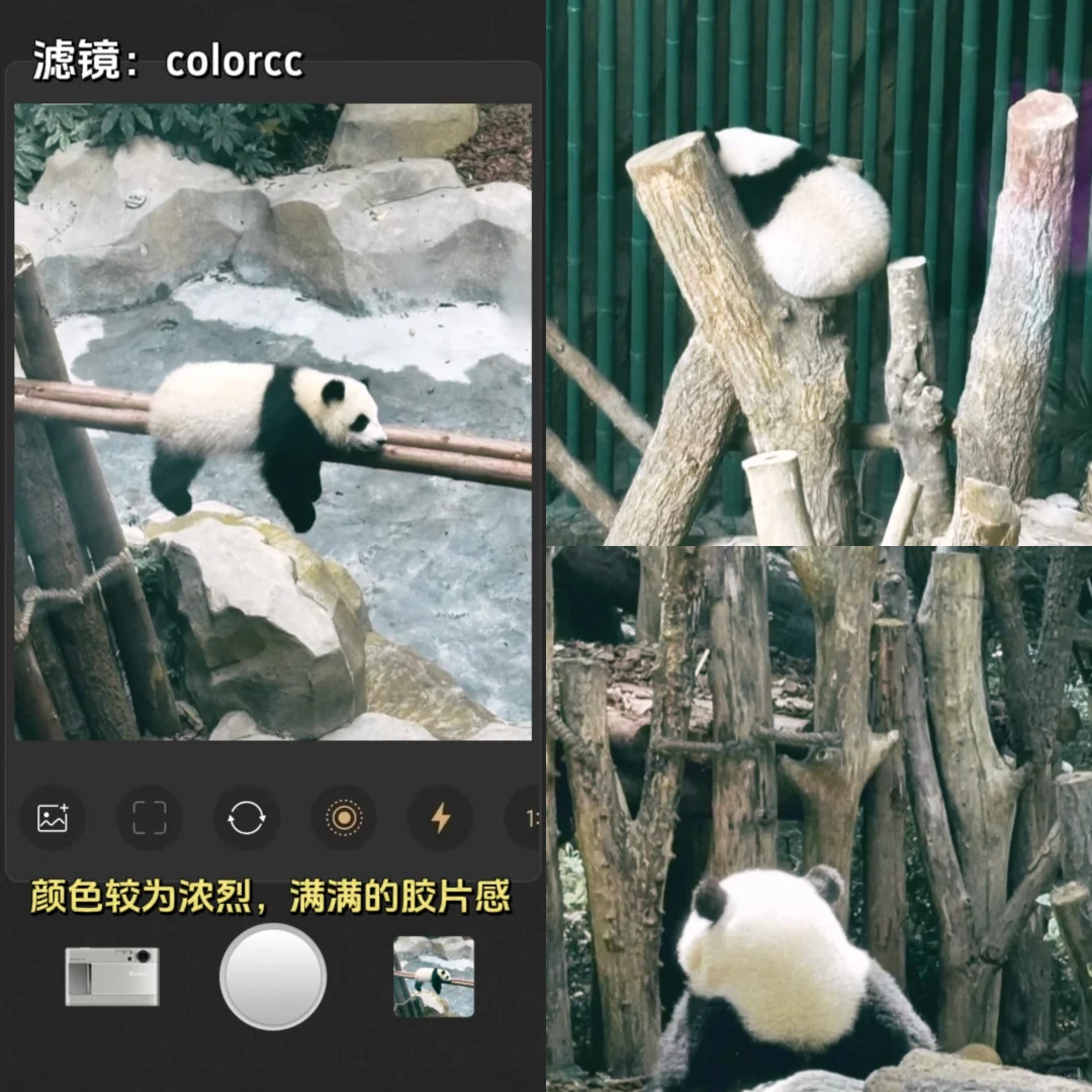 这是我见过最最最像胶片相机的app！！