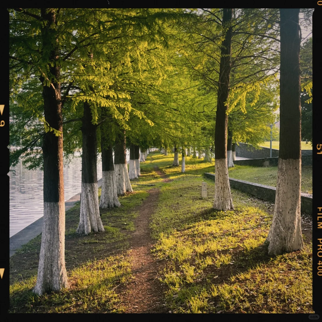 我发现了胶片感手机APP