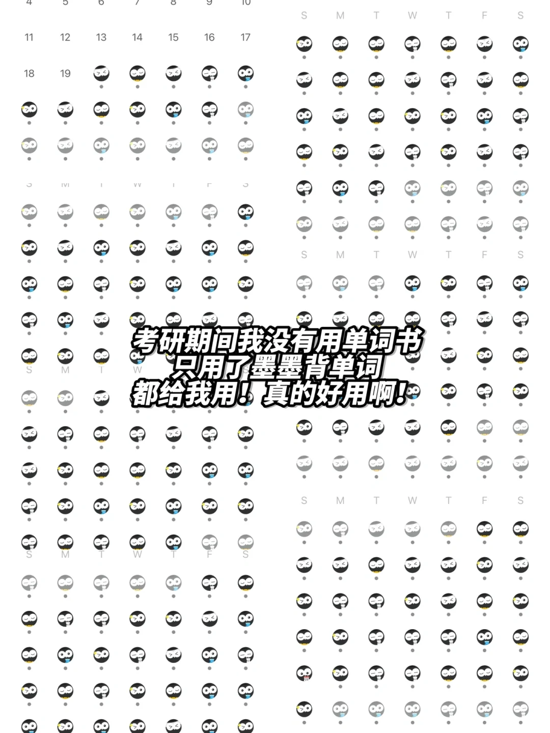 考研高效APP推荐➕研0不摆烂PLOG