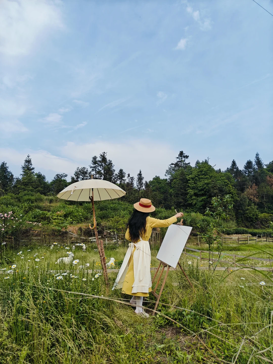 宫崎骏电影起风了
