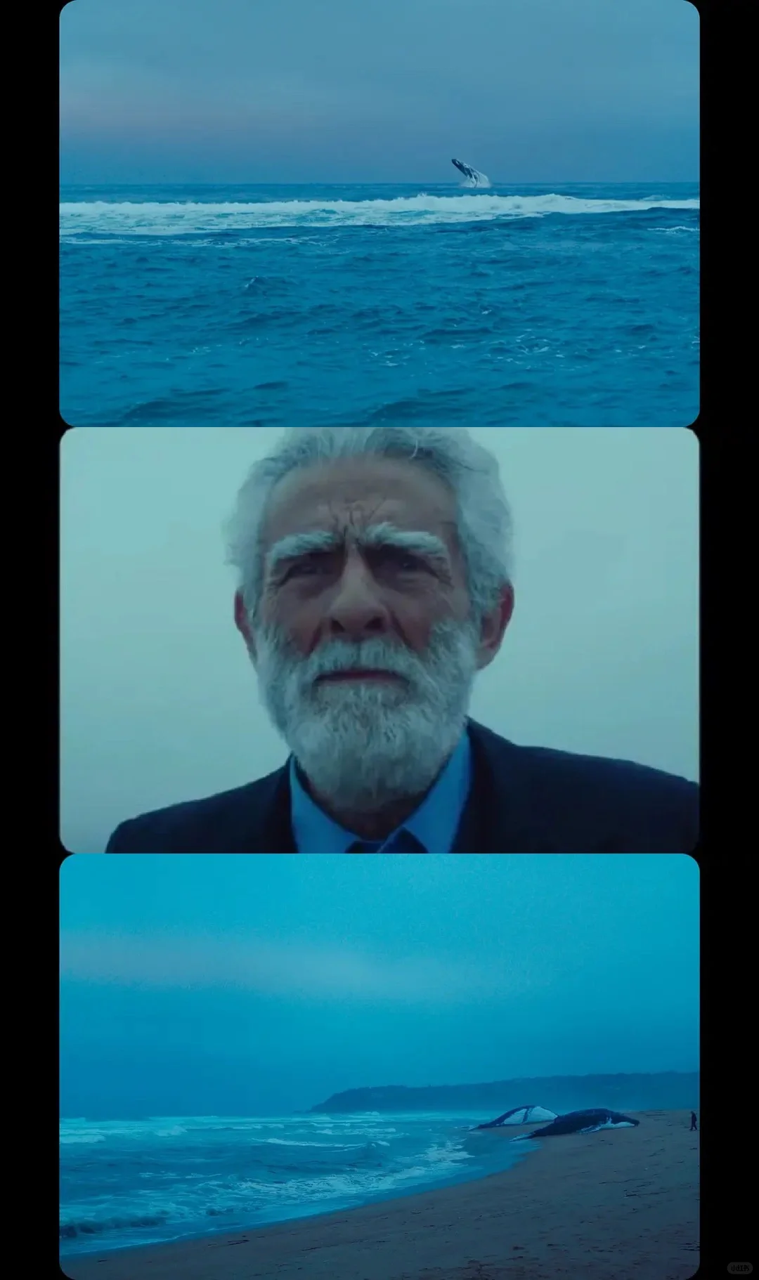 强烈推荐这部电影！！！太震撼了~后劲好大