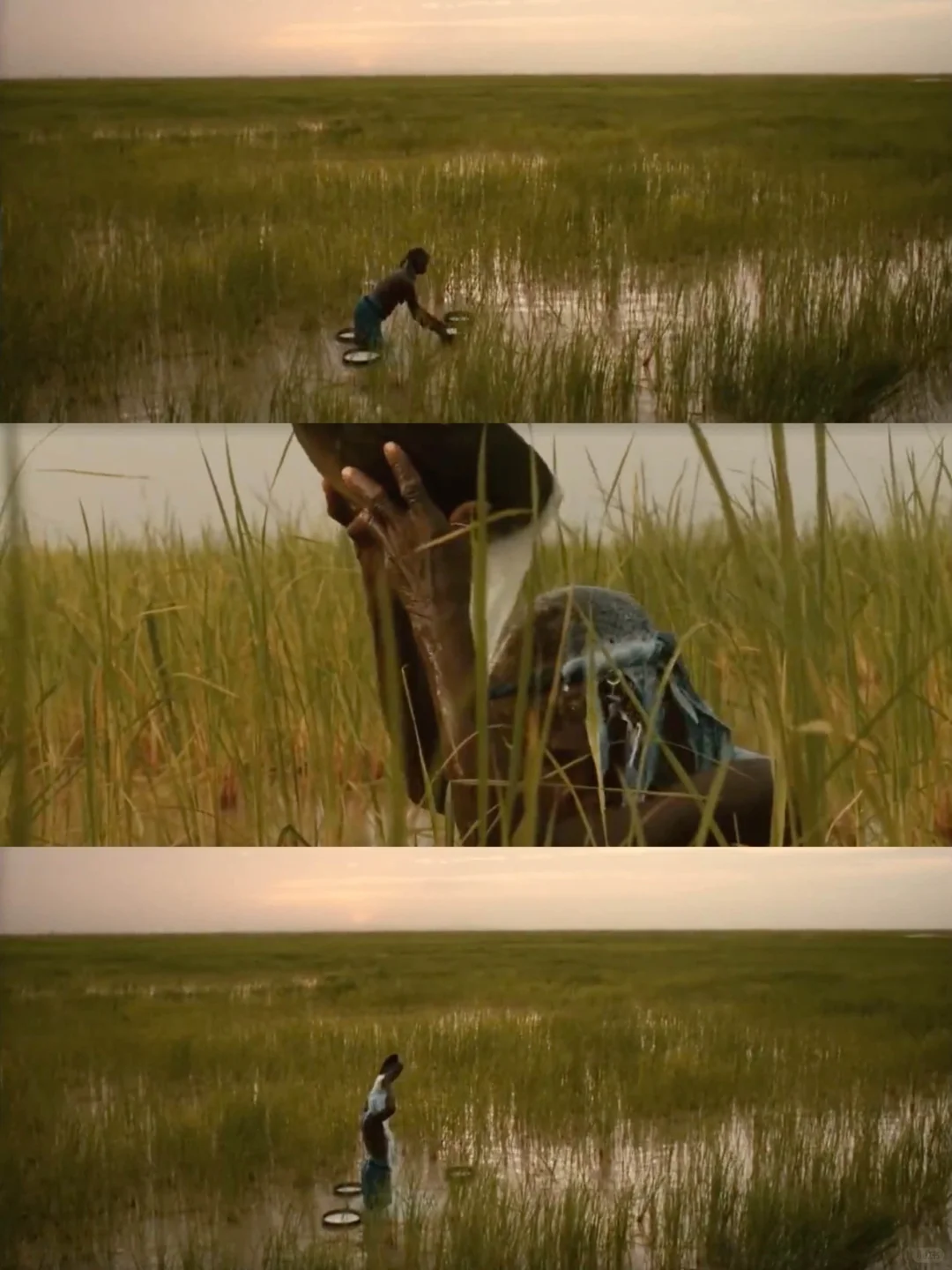 有点地位😱传说最伟大的非洲电影之一!!