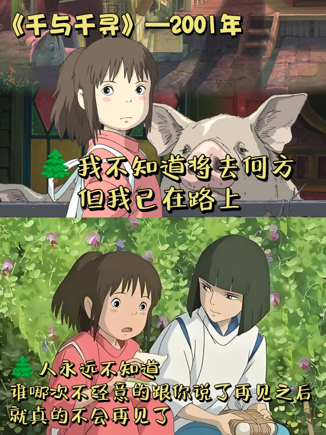 9️⃣部宫崎骏必刷的高分经典电影