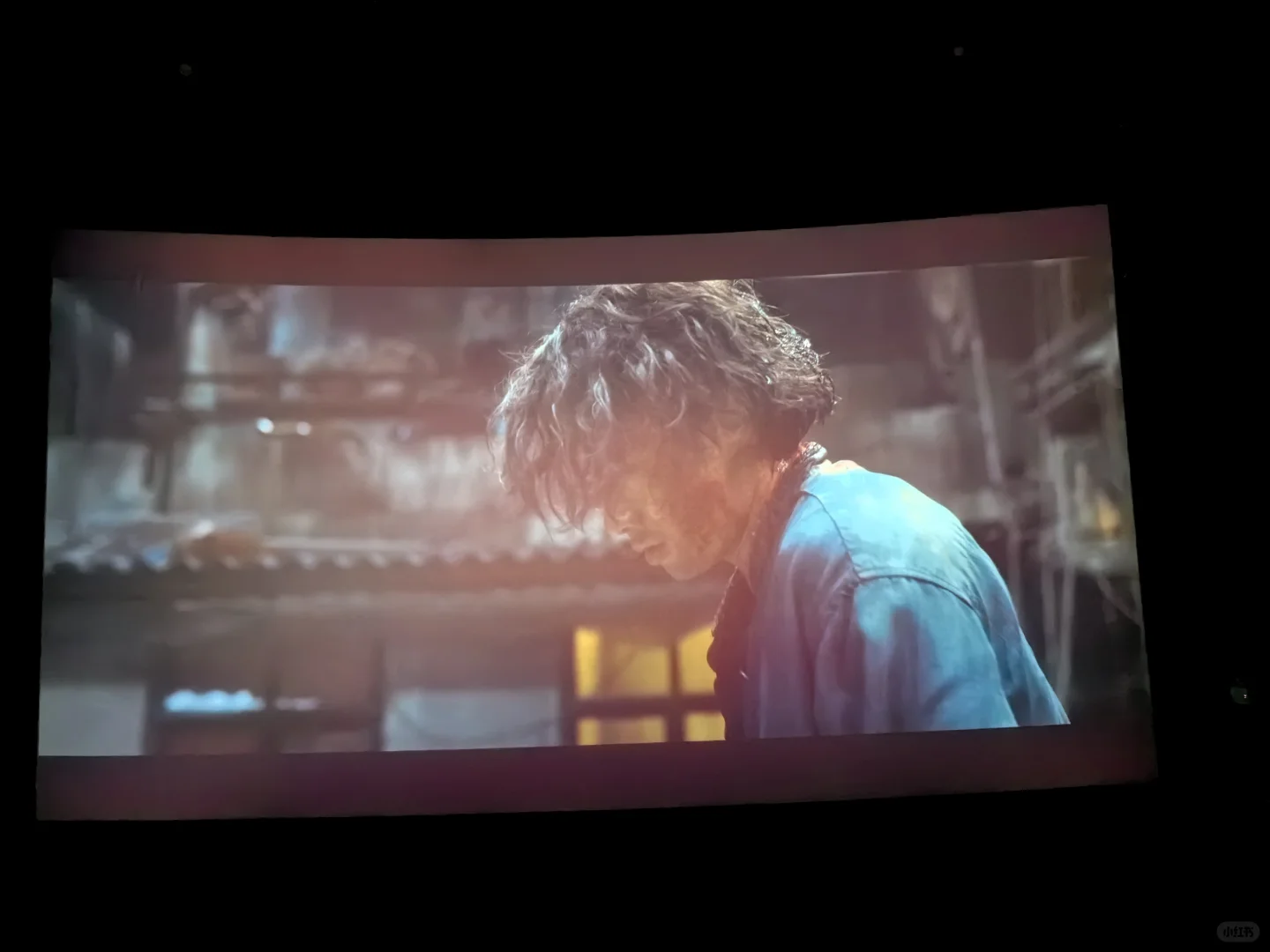 五一电影合集🎬🎬