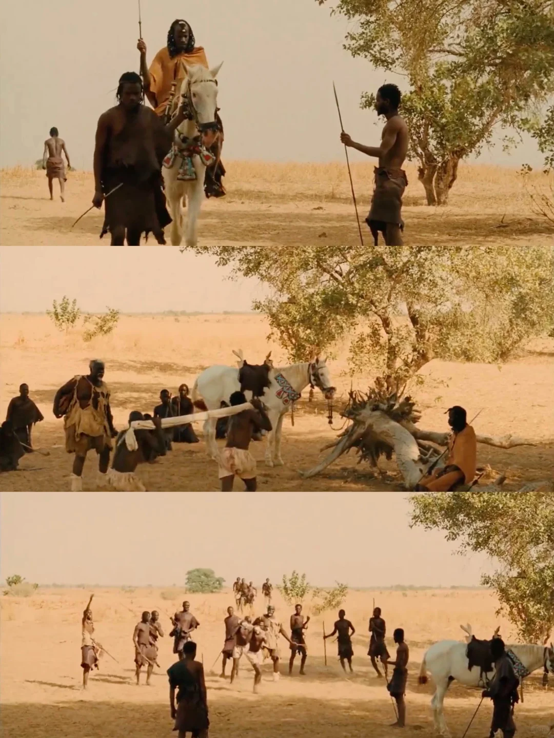 有点地位😱传说最伟大的非洲电影之一!!