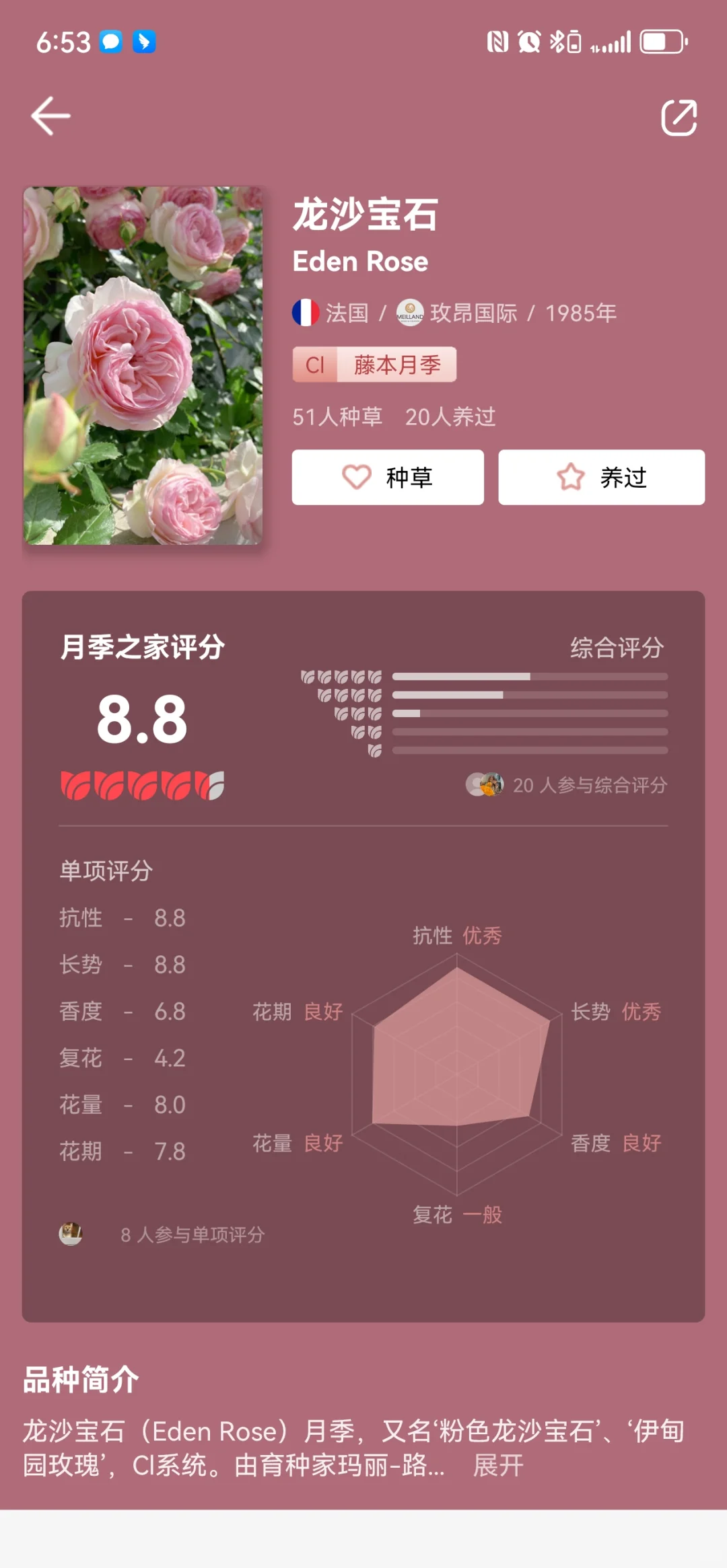 养月季的宝藏APP