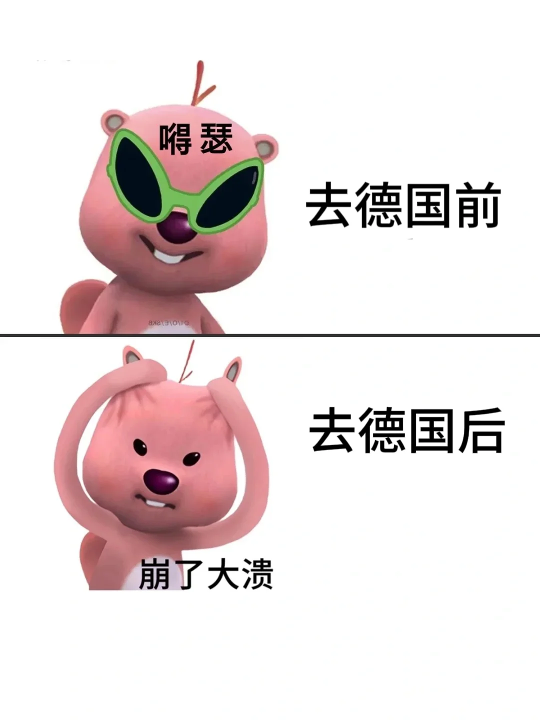 给德国准留子们的生活指南——app推荐