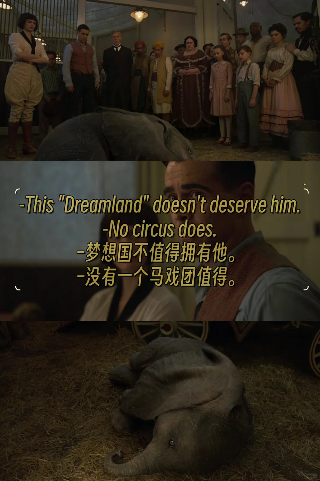 每周一部经典电影——《小飞象》