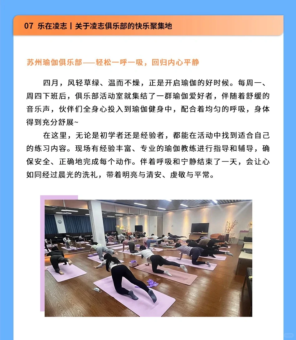 伴凌同行｜凌志软件2024年4月资讯