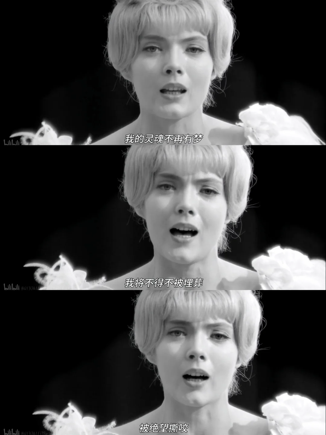 电影指南|电影，可以观人生