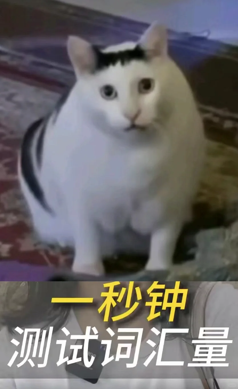 机构和app是如何测试英语词汇量的？