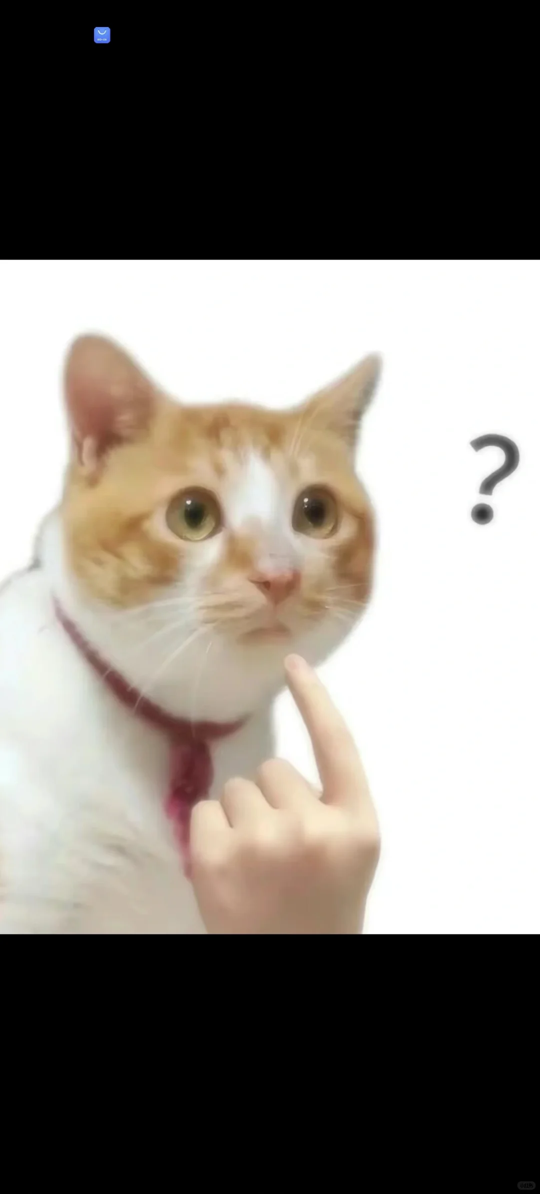 市面上的相亲软件不靠谱吧