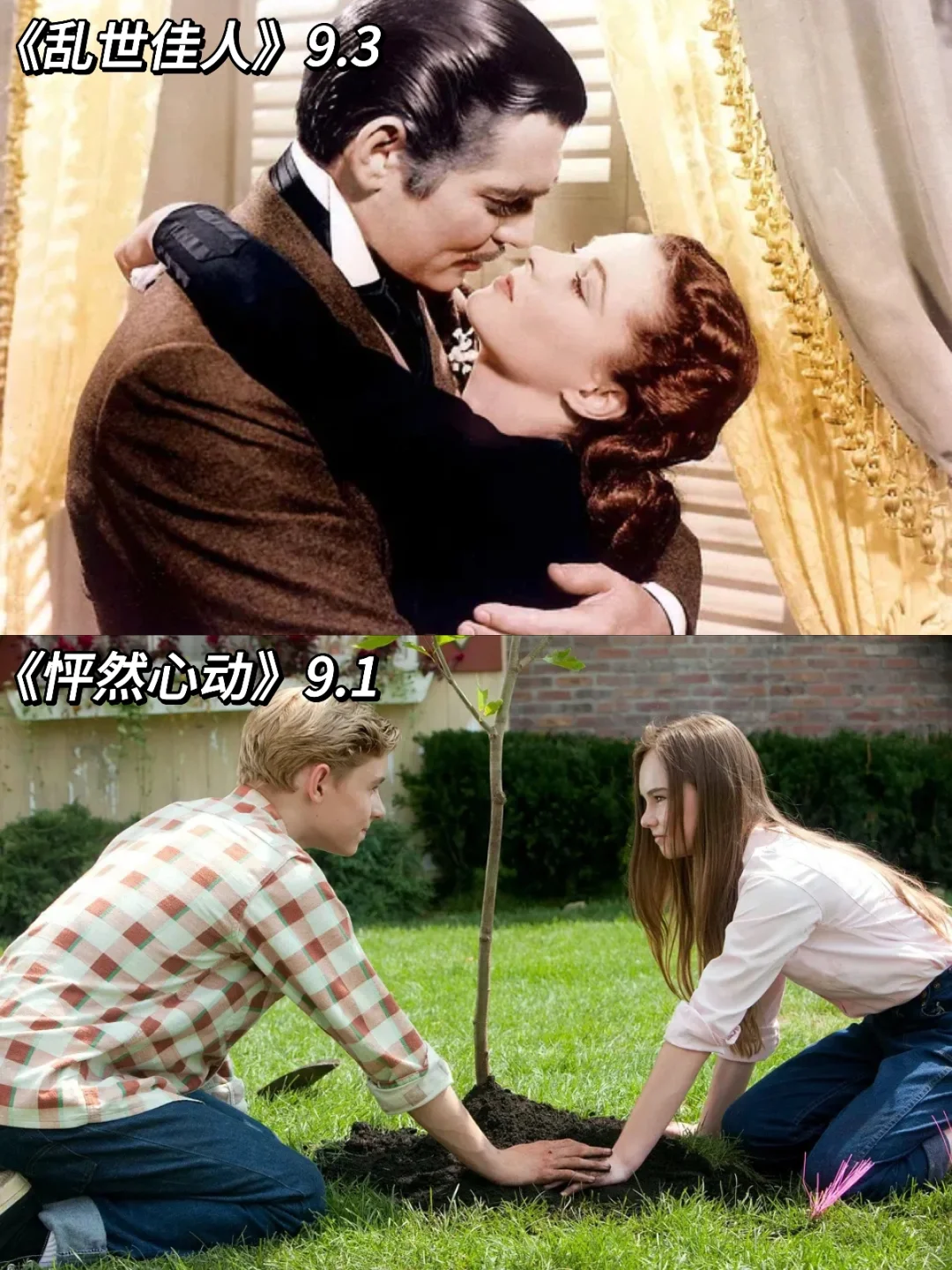 致敬经典电影🎬22部高分经典爱情电影🖤