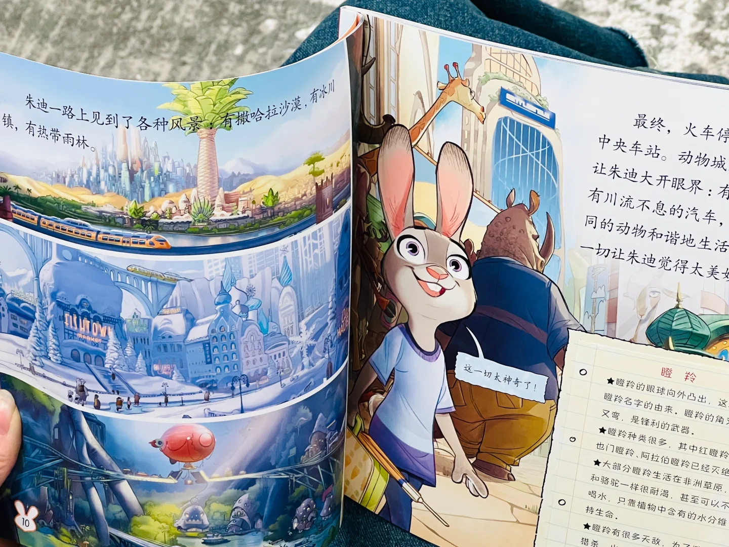 绝版清仓 ❌《迪士尼国际金奖动画电影故事》