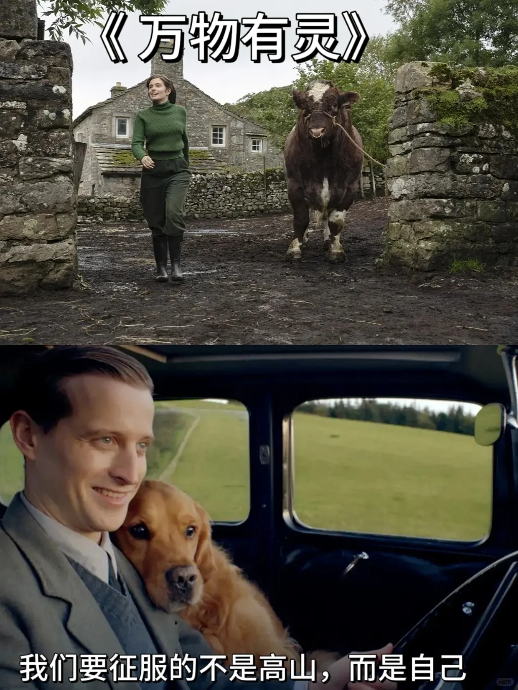 当你累了，一定要看的四部电影！