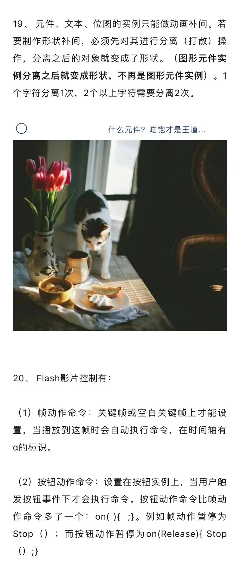 技术知识延伸|信息技术之Flash软件知识点