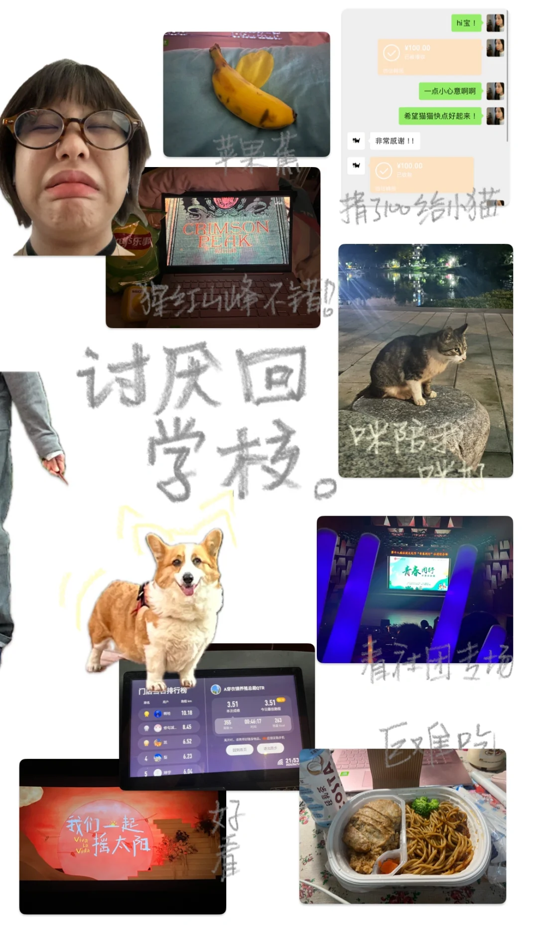 📓 ‧₊˚ plog｜苹果自带app也可以做plog啦！