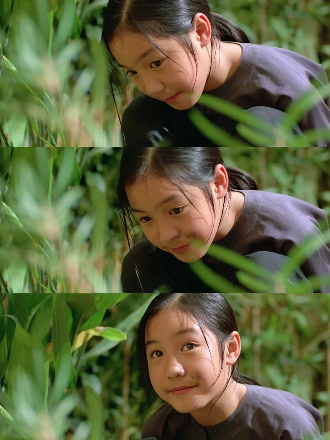 本人最爱的夏日电影‼️没有之一‼️