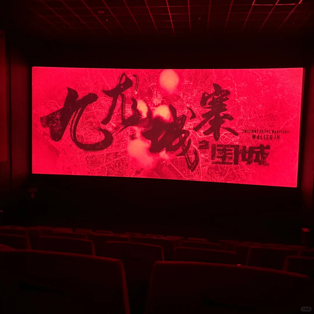 看了好看的电影