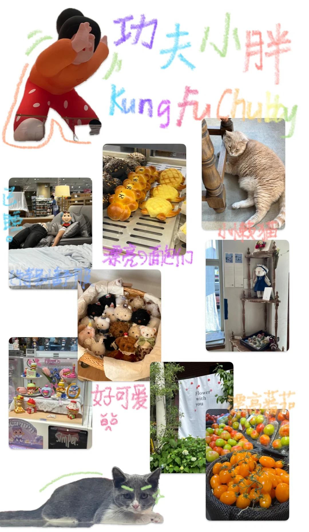 📓 ‧₊˚ plog｜苹果自带app也可以做plog啦！