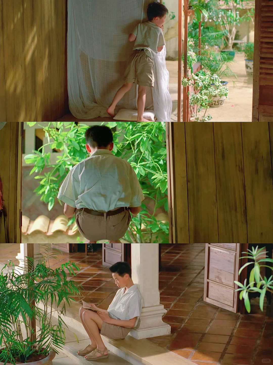 本人最爱的夏日电影‼️没有之一‼️