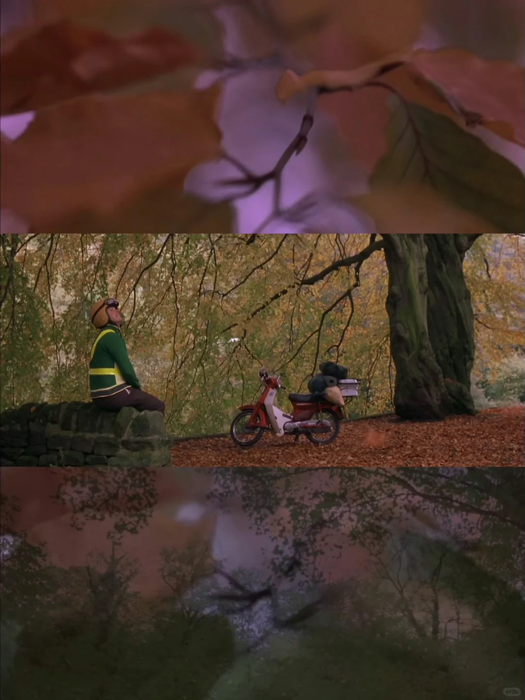 电影《寻爱之旅》自由美好的摩托车公路之旅