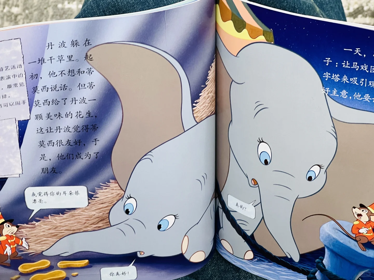 绝版清仓 ❌《迪士尼国际金奖动画电影故事》