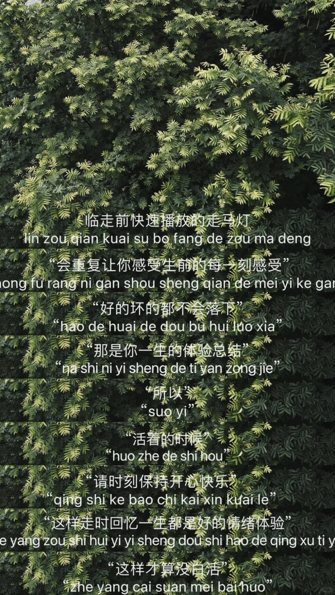 电影台词还挺有点像那么回事