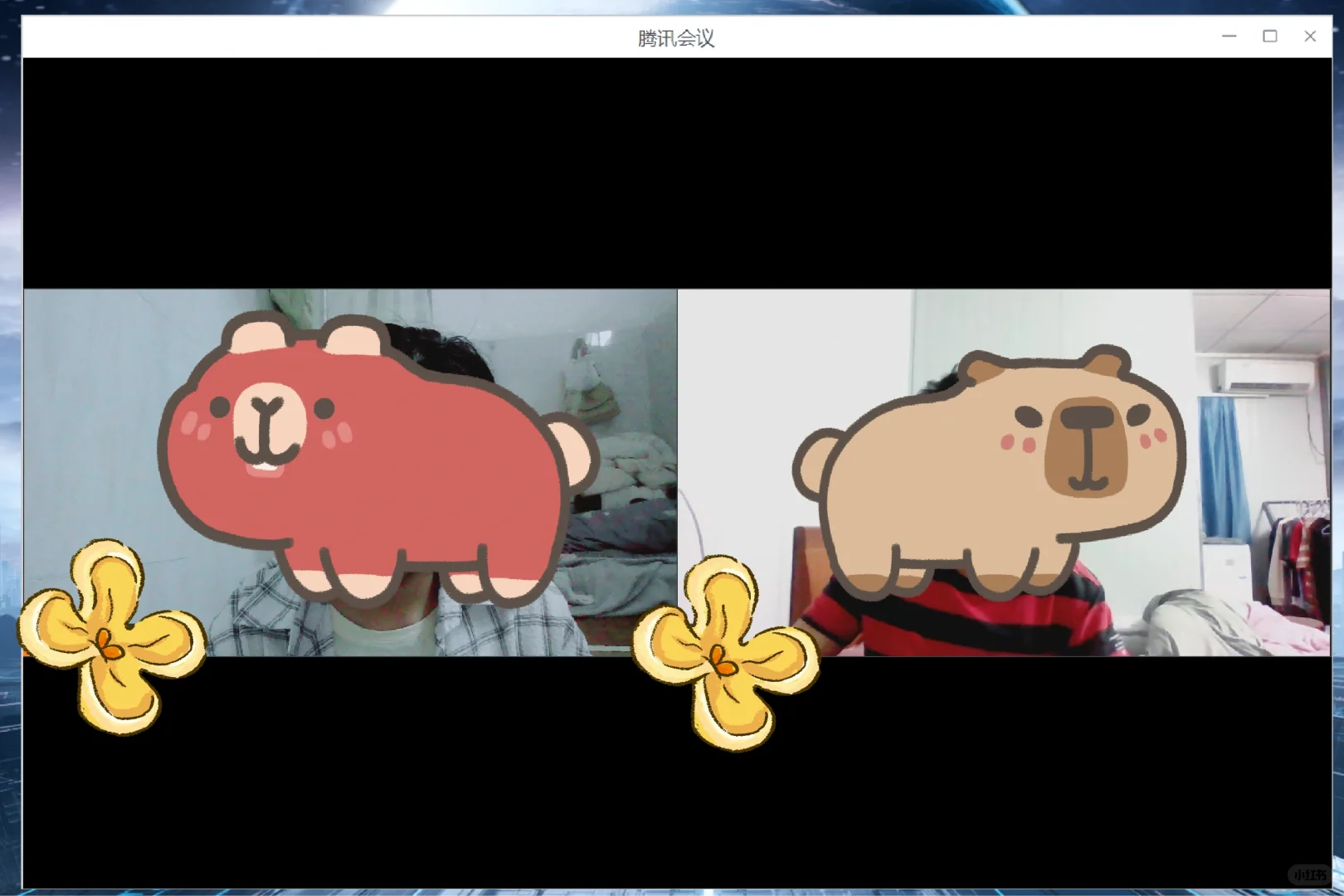 用于异地恋视频软件