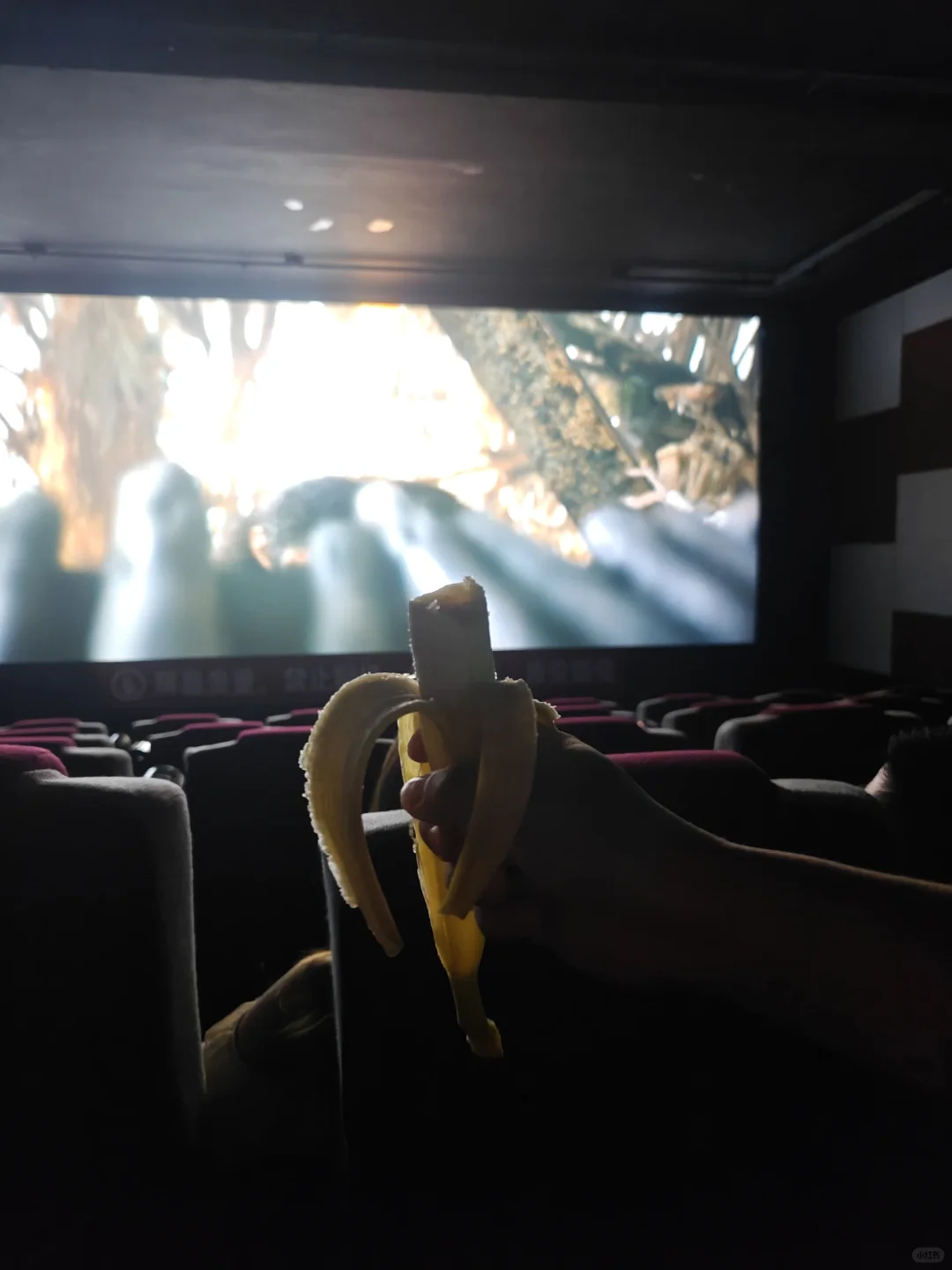 猩球崛起电影还没有香蕉好吃