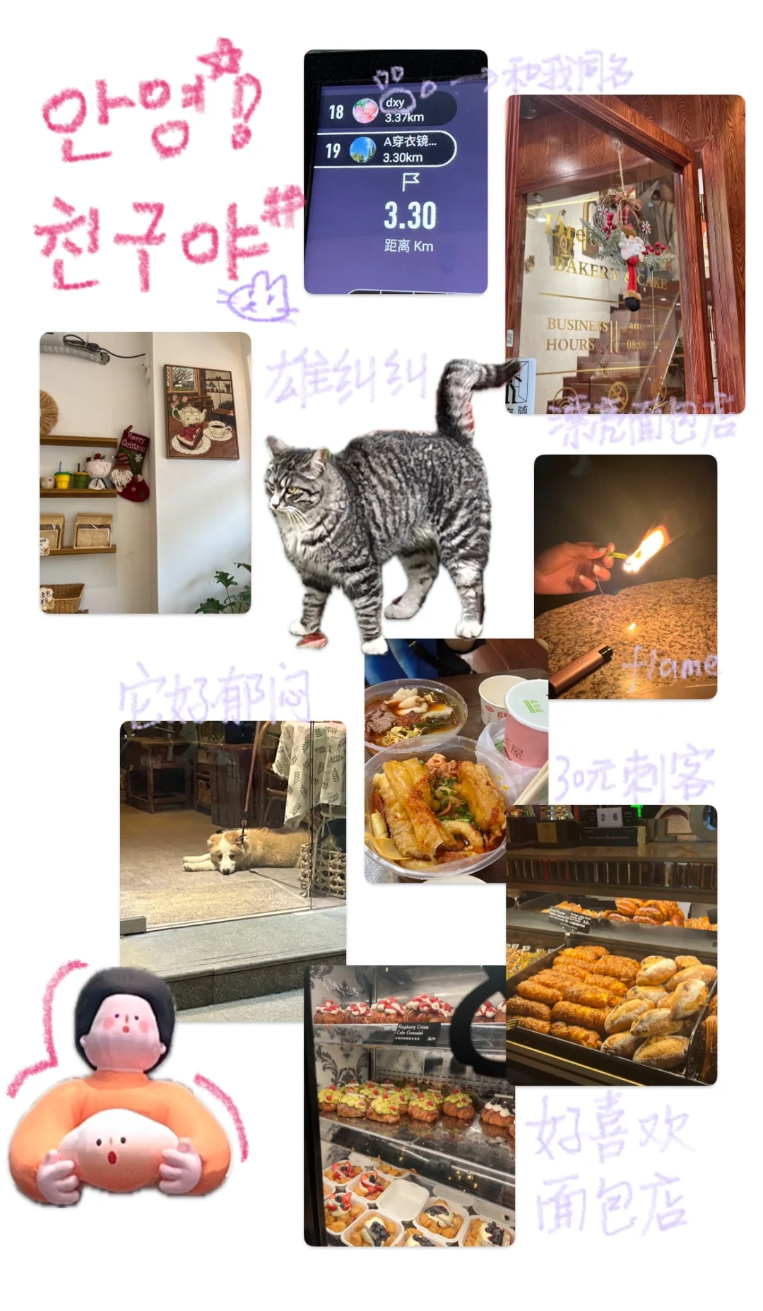 📓 ‧₊˚ plog｜苹果自带app也可以做plog啦！