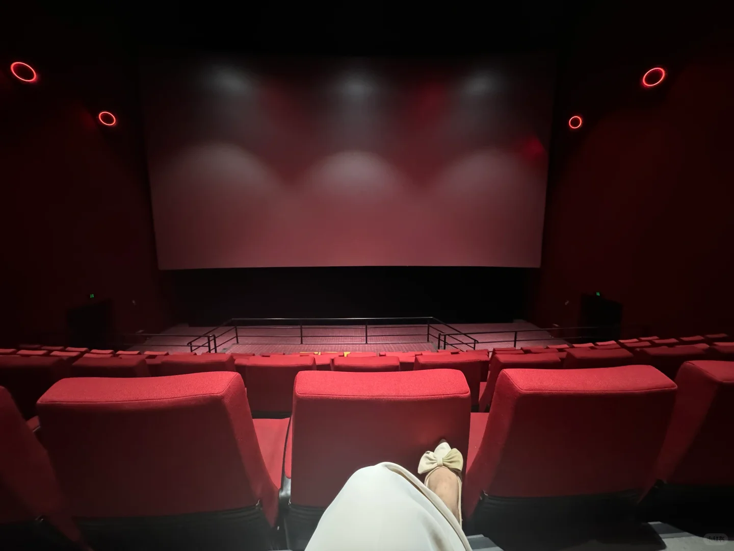 新电影上映打卡《猩球崛起：新世界》猩球崛起