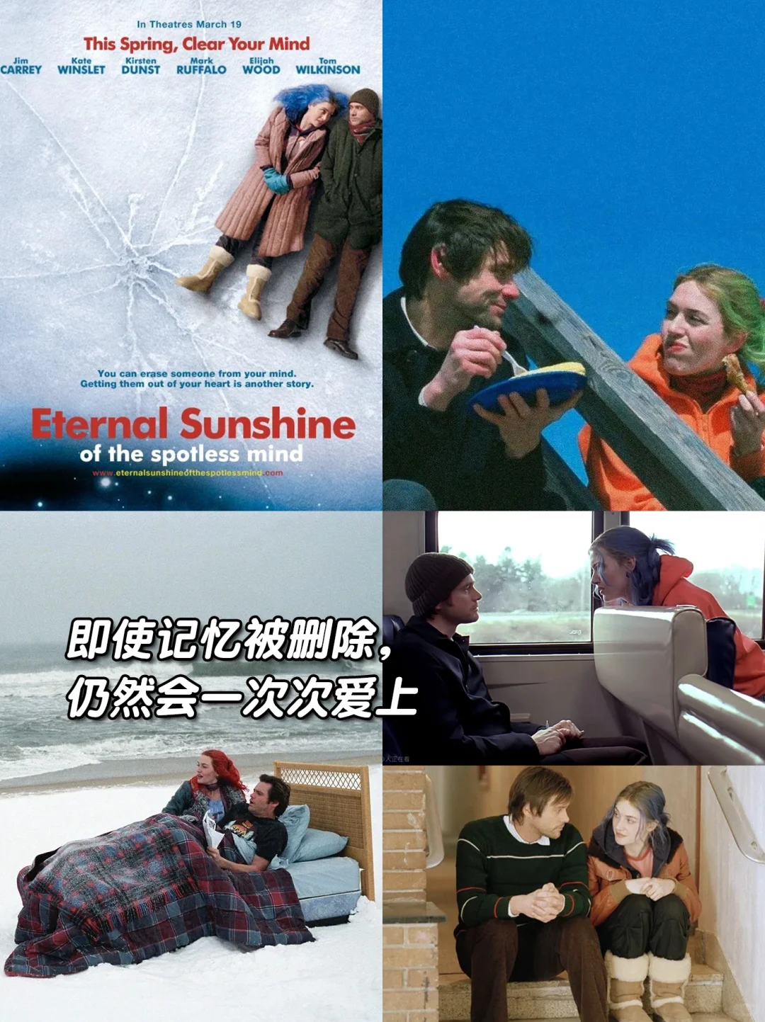 ENTP/ INTP的人生电影🎬我先来🙋