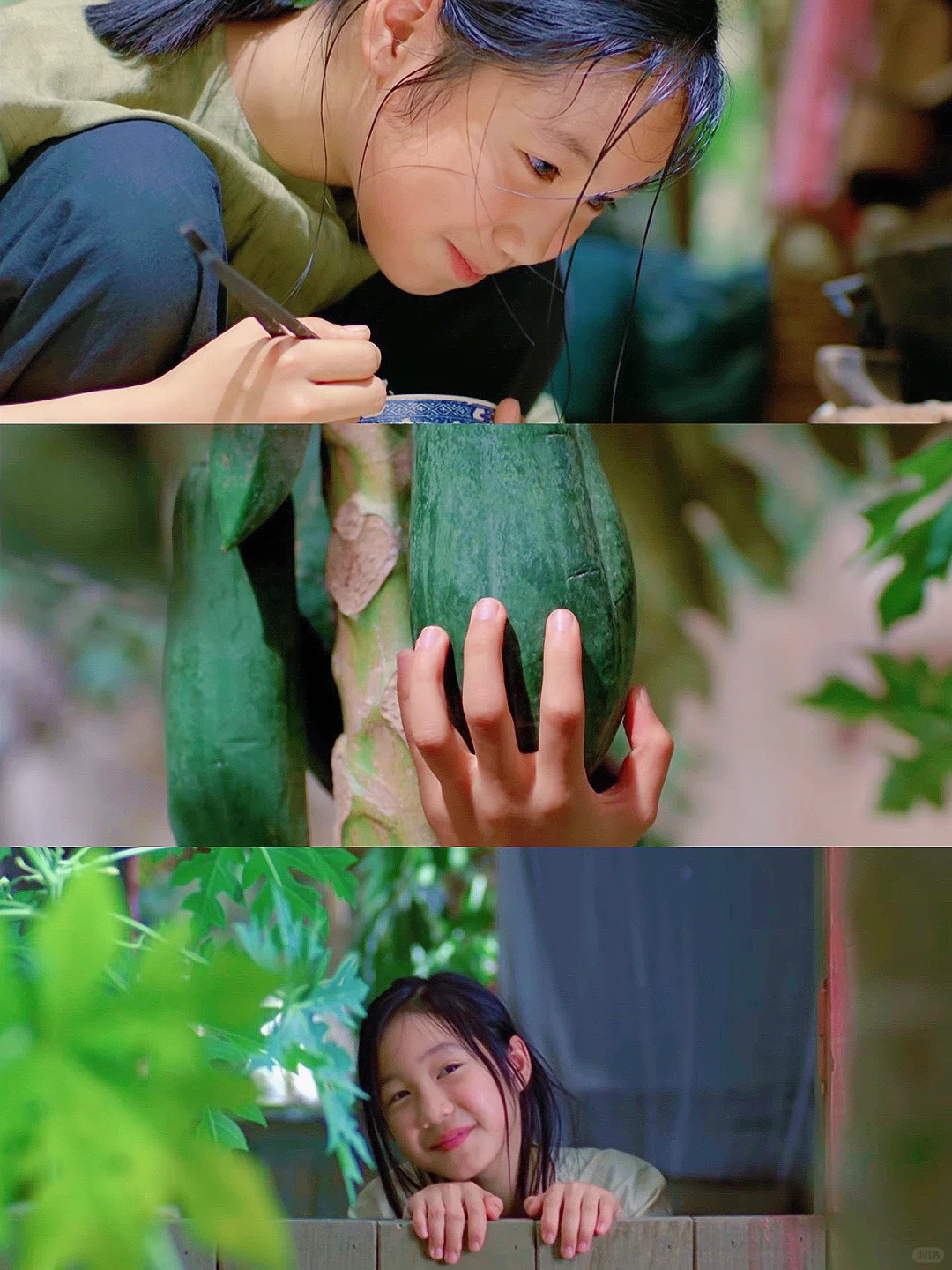 本人最爱的夏日电影‼️没有之一‼️