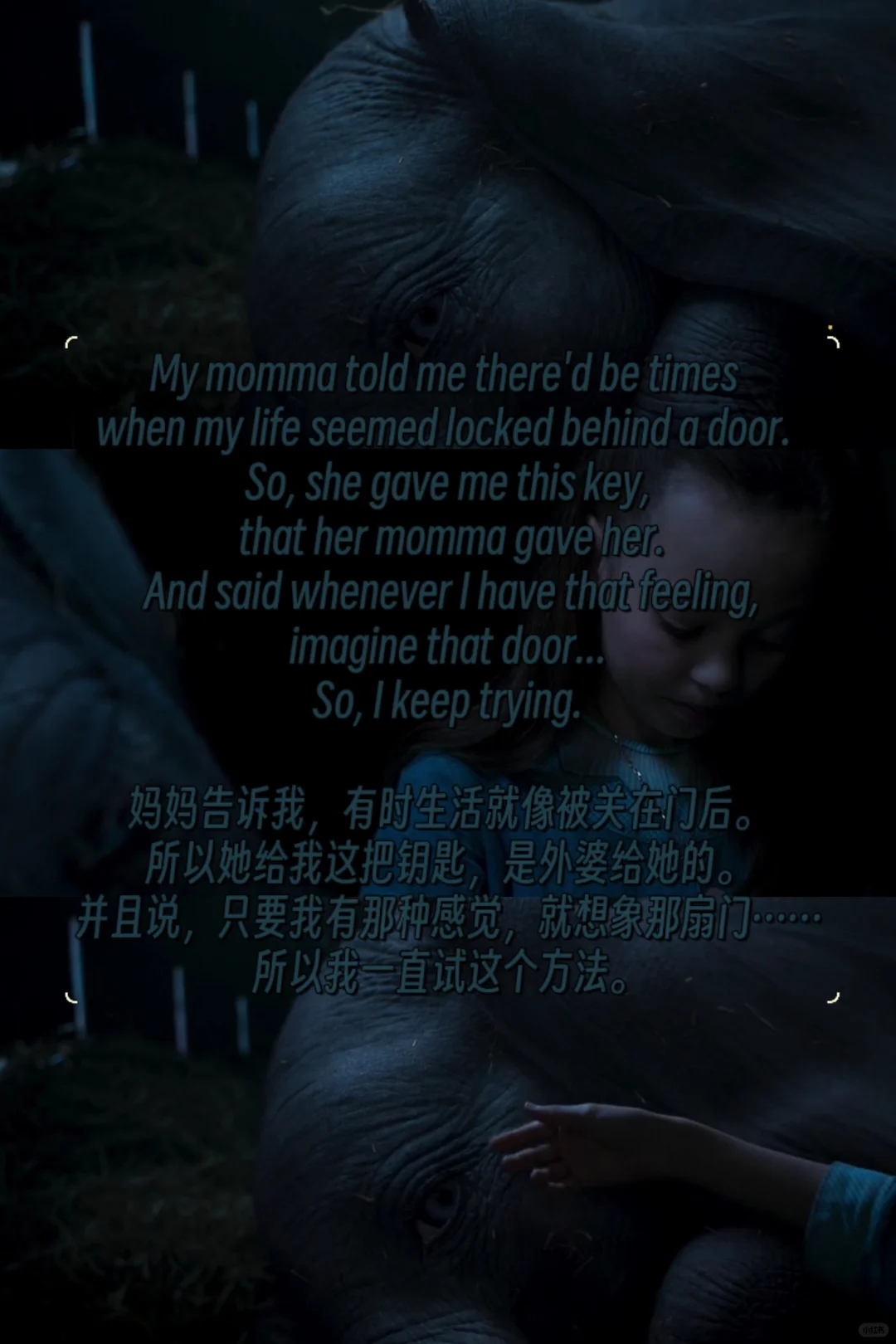 每周一部经典电影——《小飞象》