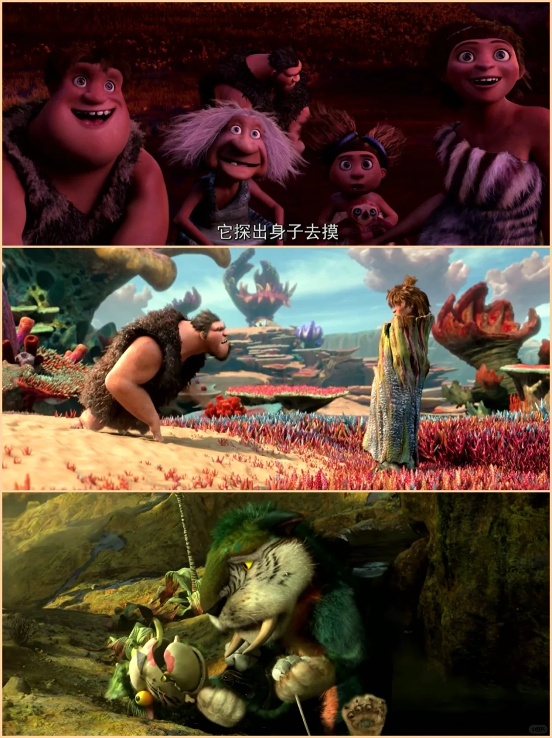 ​【陪孩子看好电影】突破传统束缚