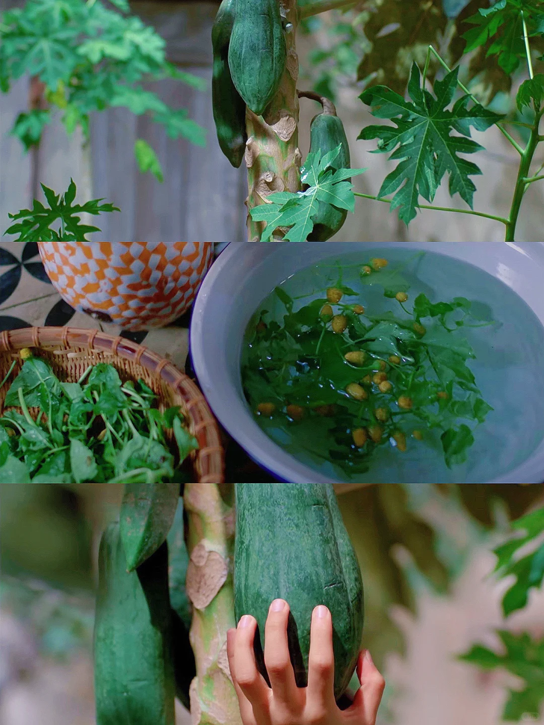 本人最爱的夏日电影‼️没有之一‼️