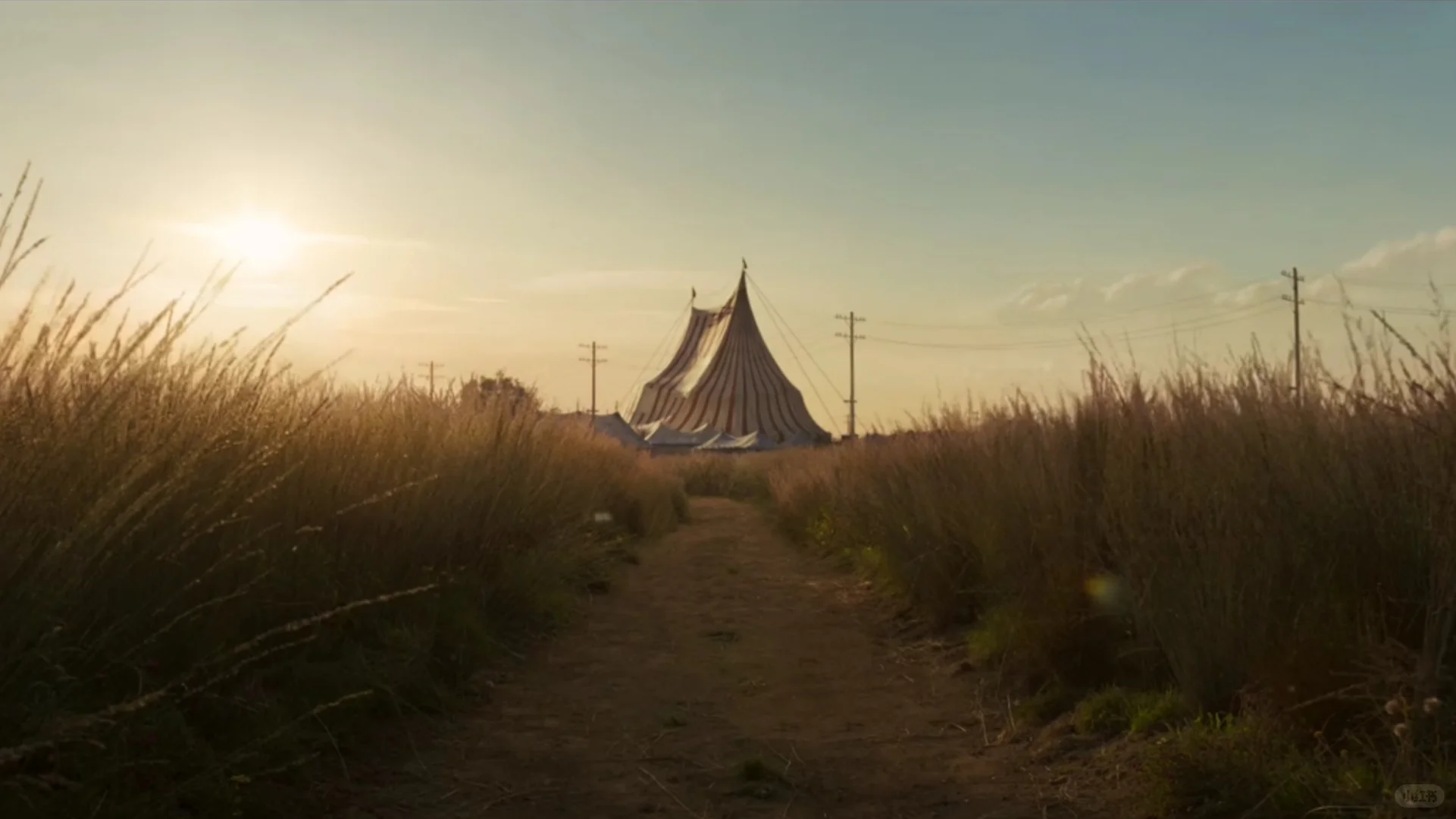 每周一部经典电影——《小飞象》