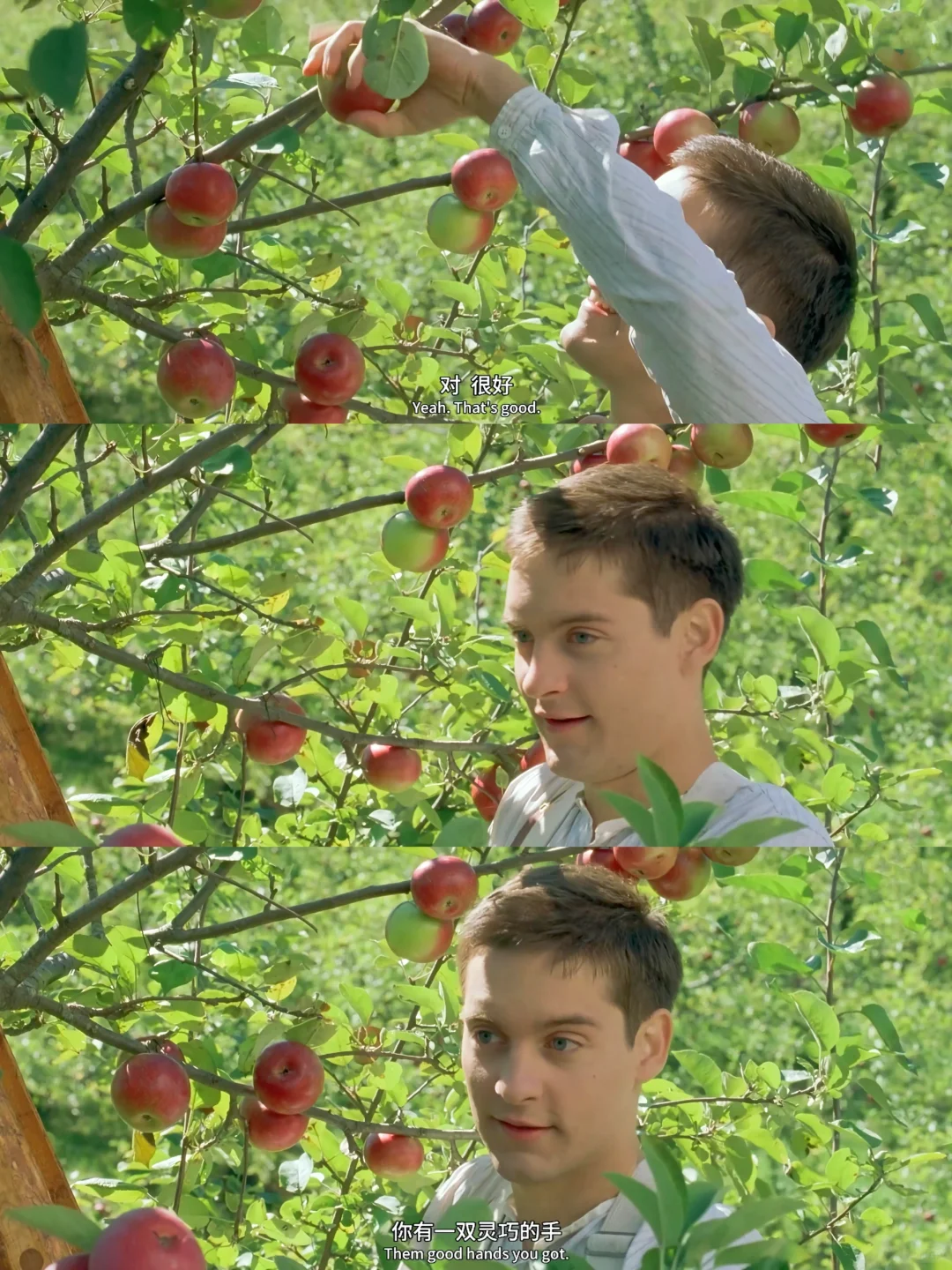 奥斯卡7项提名❗️最治愈打工人的电影😭