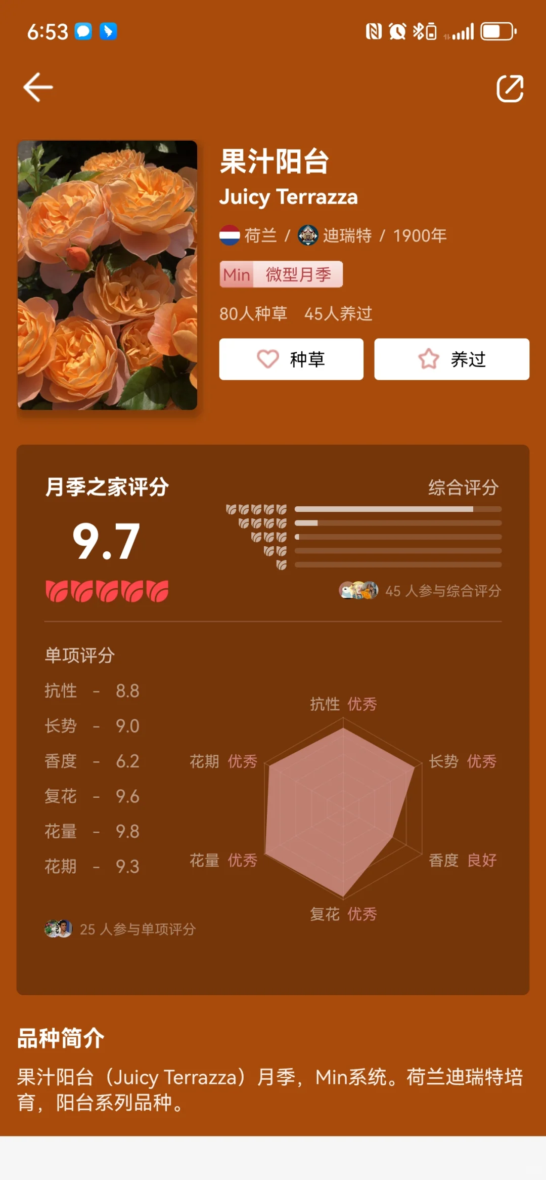养月季的宝藏APP