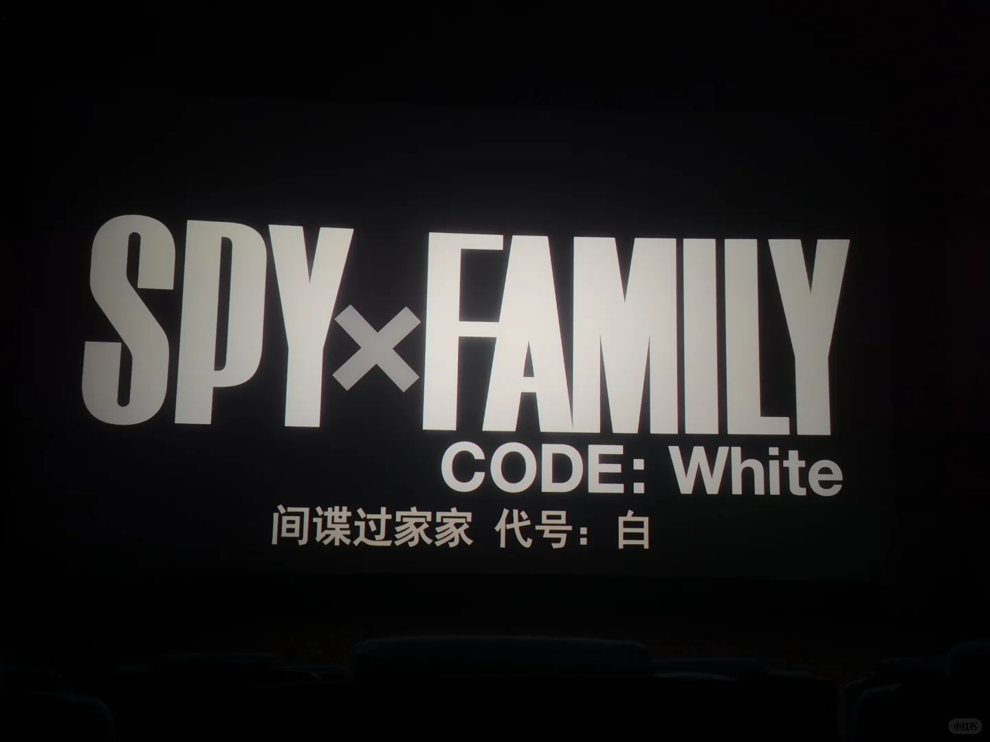 电影-间谍过家家 代号白