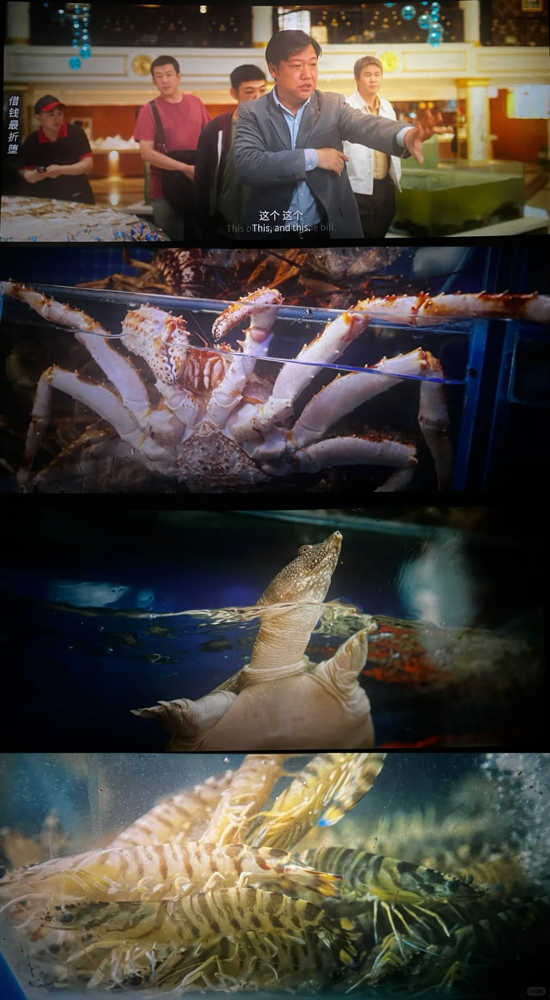 末路狂花钱 | 好看的电影自己会说话