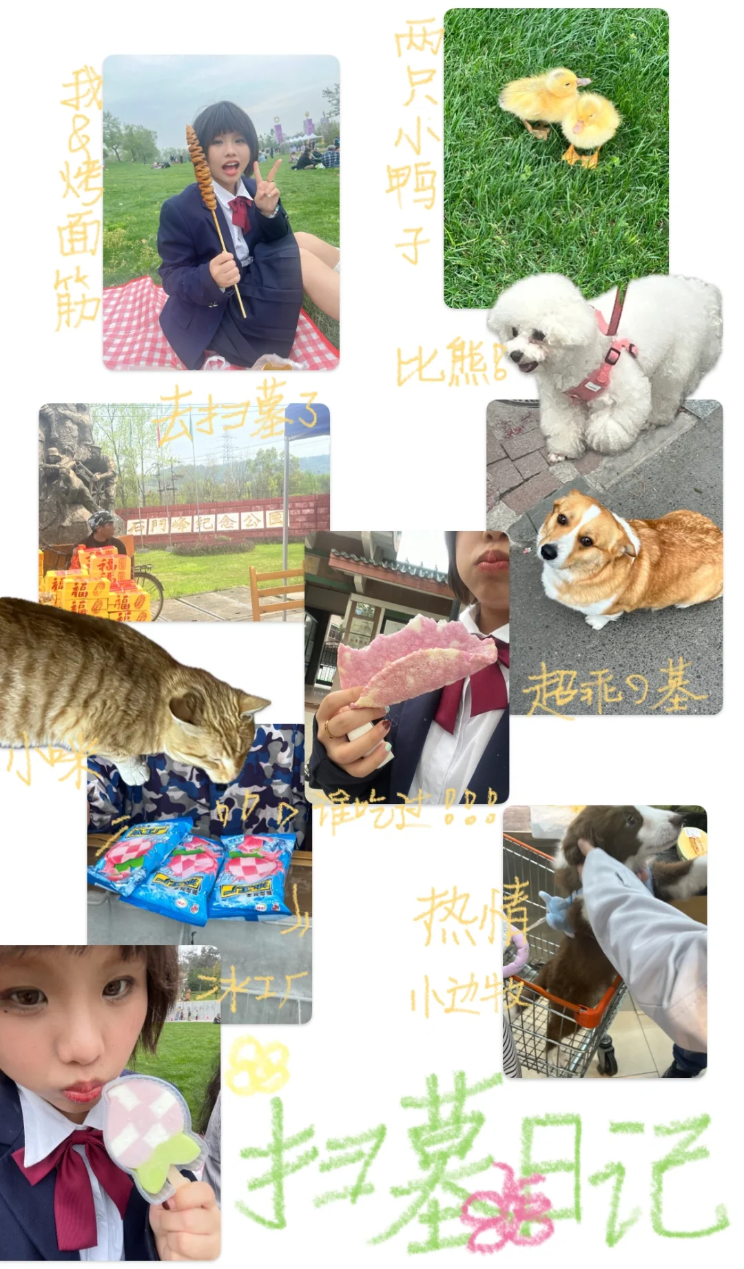 📓 ‧₊˚ plog｜苹果自带app也可以做plog啦！