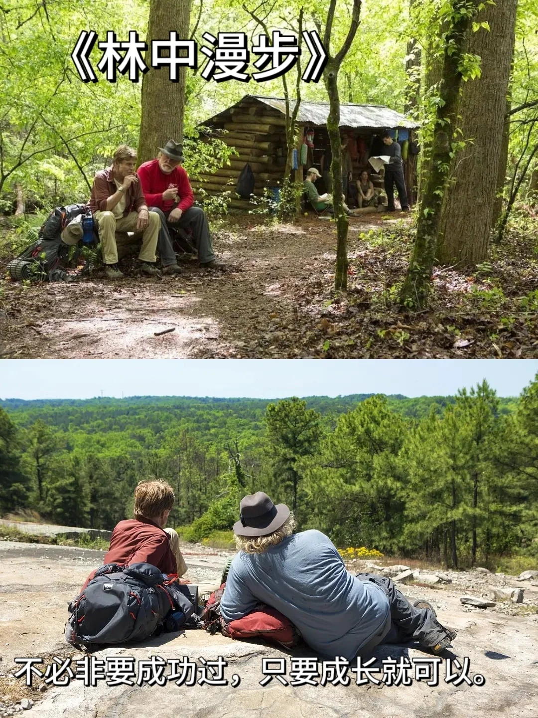 当你累了，一定要看的四部电影！